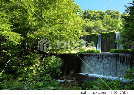 鳥取縣奧大井山北谷澤峽谷美麗的翠綠景色 鳥取縣奧大井山北谷澤峽谷美麗的翠綠景色 140075033