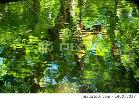 The beautiful fresh greenery of the Kitanizawa Gorge in Okudaisen, Tottori Prefecture 140075037