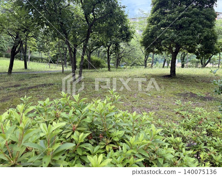 有樹的公園 有樹的公園 140075136