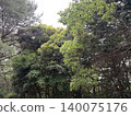 有樹的公園 140075176