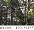 有樹的公園 140075177