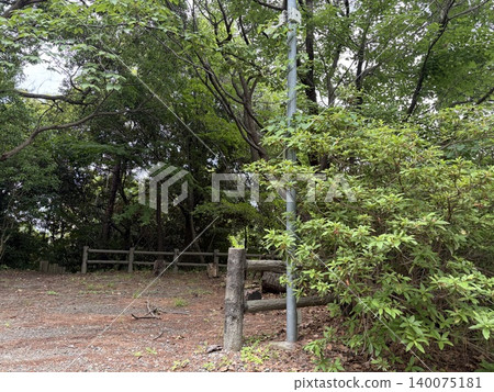 停在樹林裡 停在樹林裡 140075181