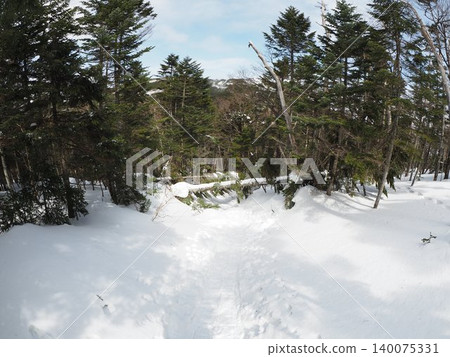 Shimakareyama and Chausuyama (Chino City and Sakuho Town, Nagano Prefecture) in late March Shimakareyama and Chausuyama (Chino City and Sakuho Town, Nagano Prefecture) in late March 140075331