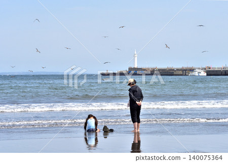 A family playing on Katase Higashihama Beach and a flock of kites. A family playing on Katase Higashihama Beach and a flock of kites. 140075364