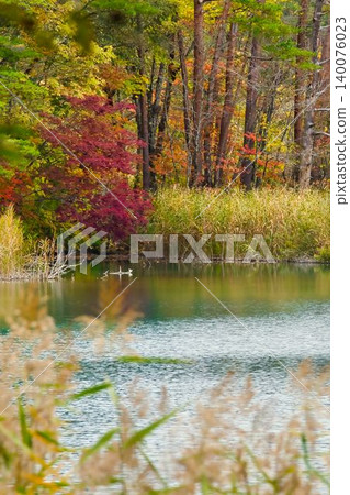 Autumn in the Goshikinuma Lakes of Urabandai / Fukushima Prefecture Autumn in the Goshikinuma Lakes of Urabandai / Fukushima Prefecture 140076023