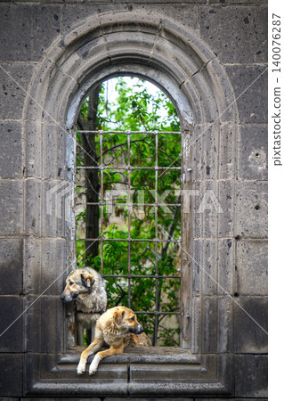 Two dogs sit or lie near window with metal grid Two dogs sit or lie near window with metal grid 140076287