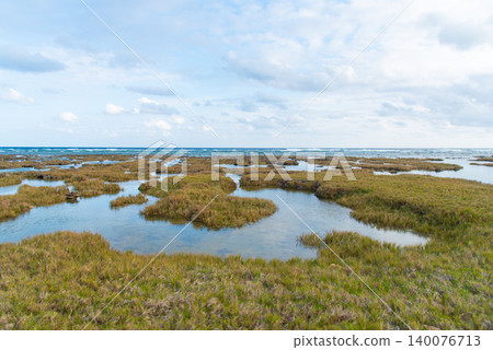 A shallow, rippling coastline and an adjacent yellowish grassland with tide pools. A shallow, rippling coastline and an adjacent yellowish grassland with tide pools. 140076713