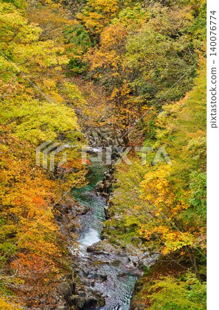 中津川溪谷/裡磐梯的秋天 140076774