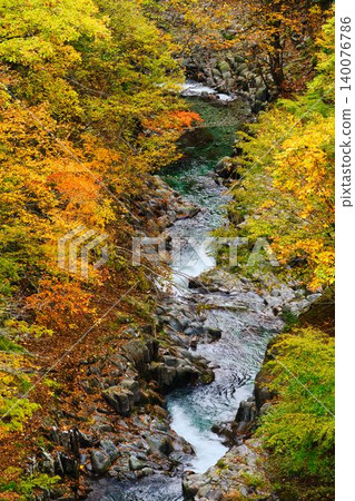 中津川溪谷/裡磐梯的秋天 140076786
