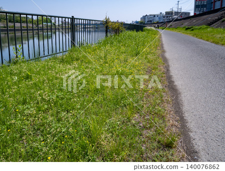 The refreshing blue sky of early summer and the lush green promenade along the river. The refreshing blue sky of early summer and the lush green promenade along the river. 140076862