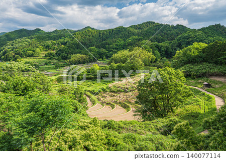 Inabuchi Rice Terraces: View from a Secret Observation Deck, Asuka Village, Nara Prefecture Inabuchi Rice Terraces: View from a Secret Observation Deck, Asuka Village, Nara Prefecture 140077114