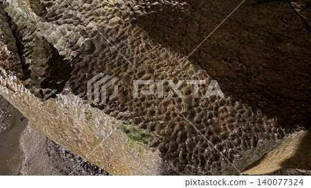 Nature Nature 140077324
