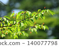 ripe cherries 140077798