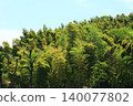 colored bamboo forest 140077802
