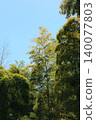 Bamboo fall 140077803