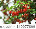 Ripe gummi 140077809
