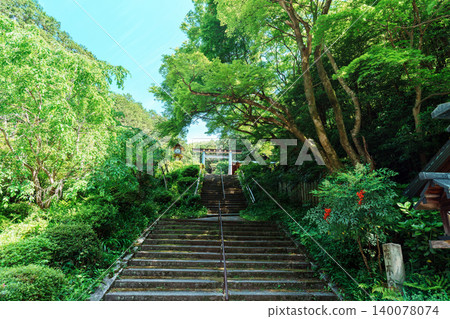 春意盎然的日向神社 春意盎然的日向神社 140078074