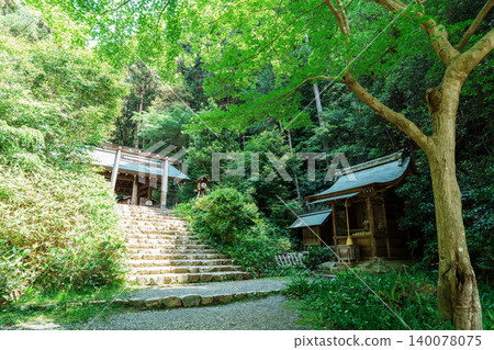 春意盎然的日向神社 春意盎然的日向神社 140078075