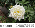 Rose   140078415