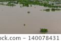 Green water hyacinth weed floating on muddy river surface background 140078431