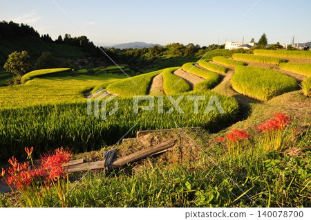 九月從下赤坂城遺址附近看到的山脈和梯田。 九月從下赤坂城遺址附近看到的山脈和梯田。 140078700