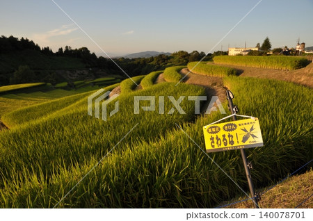 九月從下赤坂城遺址附近看到的山脈和梯田。 九月從下赤坂城遺址附近看到的山脈和梯田。 140078701