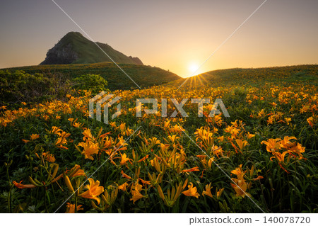 佐渡島:夕陽西下,映照著大野龜和一簇簇萱草,景色壯麗。 佐渡島:夕陽西下,映照著大野龜和一簇簇萱草,景色壯麗。 140078720