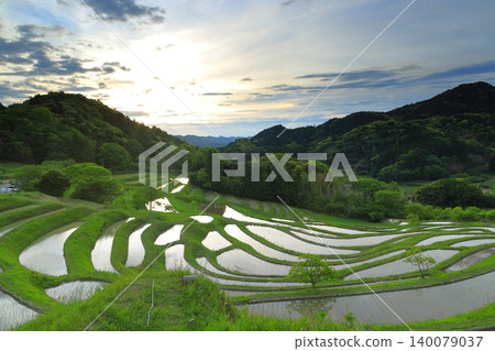 Oyama Senmaida和Morning Sky Oyama Senmaida和Morning Sky 140079037