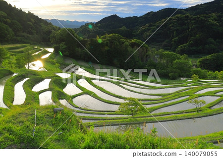 Oyama Senmaida和Morning Sky 140079055