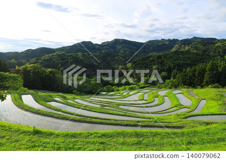 Oyama Senmaida和Morning Sky Oyama Senmaida和Morning Sky 140079062