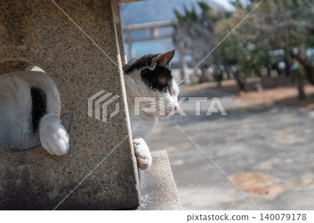 A cute cat relaxing on a stone lantern at a shrine A cute cat relaxing on a stone lantern at a shrine 140079178