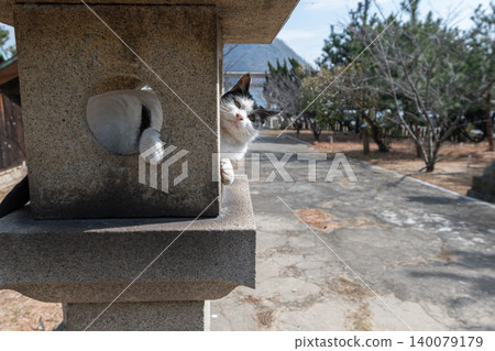 一隻可愛的貓咪在神社的石燈籠上悠閒地休息。 一隻可愛的貓咪在神社的石燈籠上悠閒地休息。 140079179