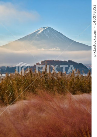 Lake Kawaguchiko and Mt. Fuji in autumn 140079352
