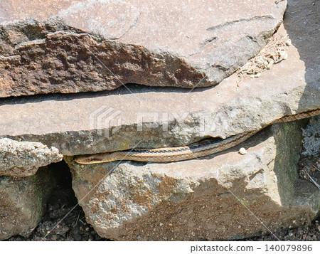 A striped snake hides in a gap between rocks. A striped snake hides in a gap between rocks. 140079896