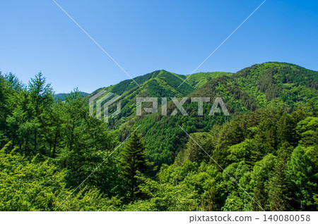 信州縣農村地區長川市，在綠意盎然的季節（長野縣松本市） 140080058