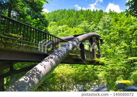 [Kanagawa Prefecture] Yushin Park Bridge 140080072