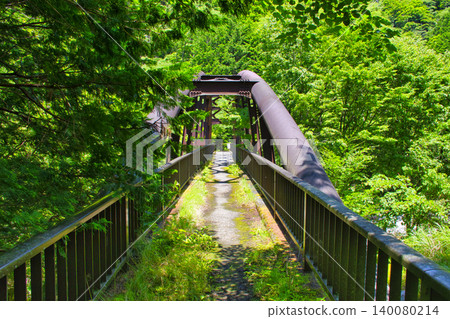 [Kanagawa Prefecture] Yushin Park Bridge 140080214