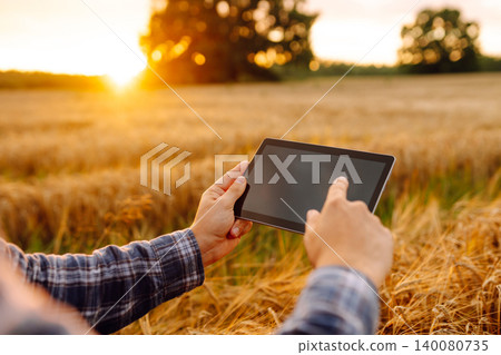 Farmer working with Tablet on wheat field. Smart farming and digital agriculture. Growth dynamics. Farmer working with Tablet on wheat field. Smart farming and digital agriculture. Growth dynamics. 140080735