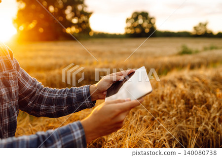 Farmer working with Tablet on wheat field. Smart farming and digital agriculture. Growth dynamics. Farmer working with Tablet on wheat field. Smart farming and digital agriculture. Growth dynamics. 140080738