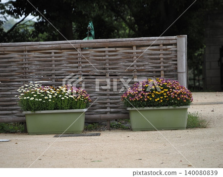 花盆和鮮花 花盆和鮮花 140080839