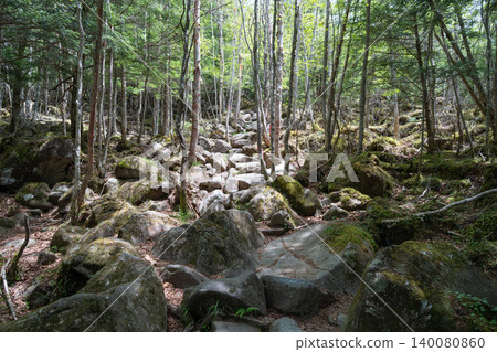 立科山登山道（女神茶屋路線的第二個陡峭爬坡路段） 140080860