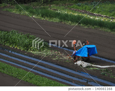 Field Field 140081168