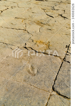 Authentic dinosaur footprint in stone in Spain Authentic dinosaur footprint in stone in Spain 140081626