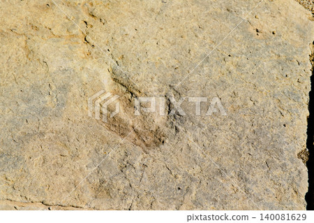 Authentic dinosaur footprint in stone in Spain Authentic dinosaur footprint in stone in Spain 140081629