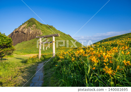 A cluster of daylilies blooming against the blue sky along the walking path leading to the Ohnogame torii gate (Sado Island) A cluster of daylilies blooming against the blue sky along the walking path leading to the Ohnogame torii gate (Sado Island) 140081695