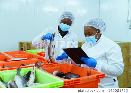 Quality Control Workers Inspecting Fresh Fish in Seafood Processing Plant Quality Control Workers Inspecting Fresh Fish in Seafood Processing Plant 140081733