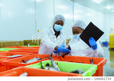 Quality Control Workers Inspecting Fresh Fish in Seafood Processing Plant Quality Control Workers Inspecting Fresh Fish in Seafood Processing Plant 140081734