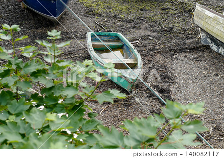 Old boats on the shore line in various state of decay 140082117
