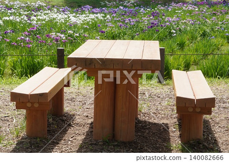 Mizumoto Park in early summer: A scene of early summer with irises in bloom and wooden table benches (Tokyo) 140082666