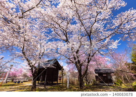 長野縣長野市心總町山水:長勝寺仁王門 長野縣長野市心總町山水:長勝寺仁王門 140083078